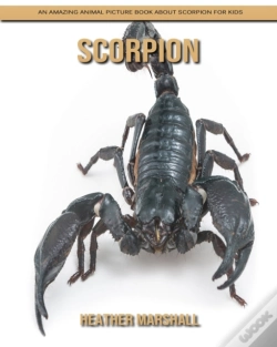 Capa do artigo Scorpion