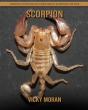 Scorpion - Preview