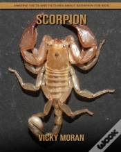 Capa do artigo Scorpion