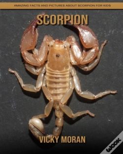 Capa do artigo Scorpion
