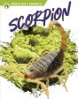 Scorpion - Preview