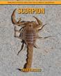 Scorpion - Preview