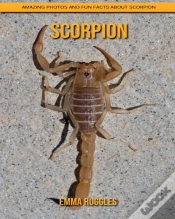 Capa do artigo Scorpion