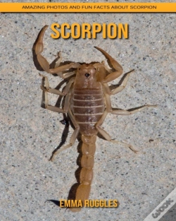 Capa do artigo Scorpion