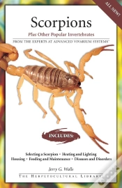 Capa do artigo Scorpions