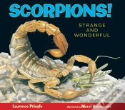 Capa do artigo Scorpions!