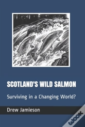 Capa do artigo Scotland