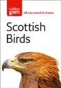Scottish Birds - Preview