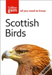 Capa do artigo Scottish Birds
