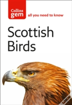 Capa do artigo Scottish Birds