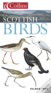 Capa do artigo Scottish Birds