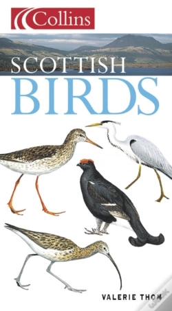 Capa do artigo Scottish Birds