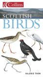 Scottish Birds - Preview