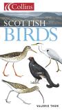 Scottish Birds