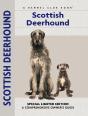 Scottish Deerhound - Preview