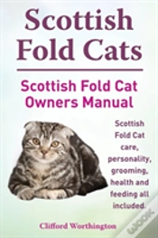 Capa do artigo Scottish Fold Cats. Scottish Fold Cat Ow