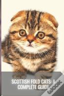Scottish Fold Cats