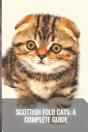 Scottish Fold Cats - Preview