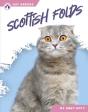 Scottish Folds - Preview