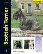 Scottish Terrier - Preview