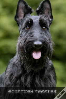 Capa do artigo Scottish Terrier