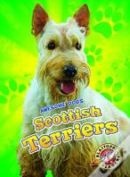 Scottish Terriers