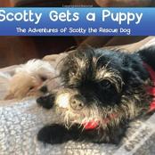 Scotty Gets A Puppy