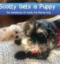 Scotty Gets A Puppy - Preview