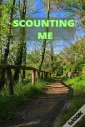 Capa do artigo Scounting Me