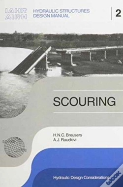 Capa do artigo Scouring