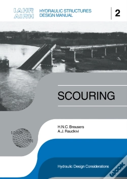 Capa do artigo Scouring