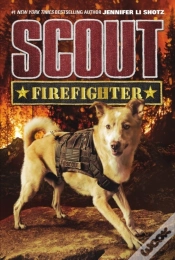 Capa do artigo Scout: Firefighter