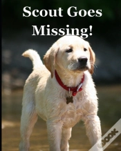 Capa do artigo Scout Goes Missing!