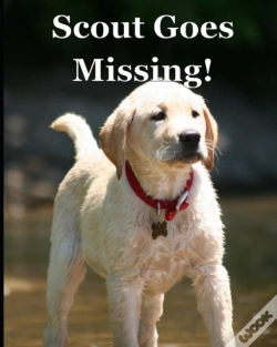 Capa do artigo Scout Goes Missing!