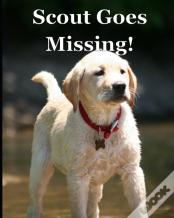 Scout Goes Missing!