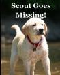 Scout Goes Missing! - Preview