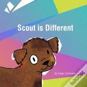 Capa do artigo Scout Is Different