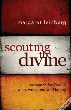 Capa do artigo Scouting The Divine
