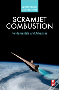 Capa do artigo Scramjet Combustion