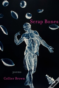 Capa do artigo Scrap Bones