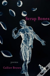 Capa do artigo Scrap Bones