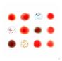 Scratch My Back/And I'll Scratch Yours - Vinil - Preview