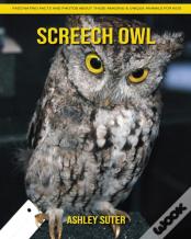 Screech Owl