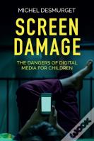 Screen Damage