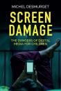 Screen Damage - Preview