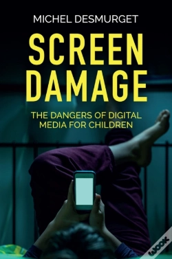Capa do artigo Screen Damage