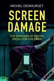 Capa do artigo Screen Damage