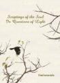 Scriptings Of The Soul In Questions Of Light - Preview