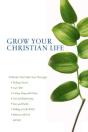 Scripture Twisting Â€“ 20 Ways The Cults Misread The Bible - Preview
