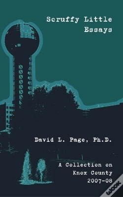 Capa do artigo Scruffy Little Essays